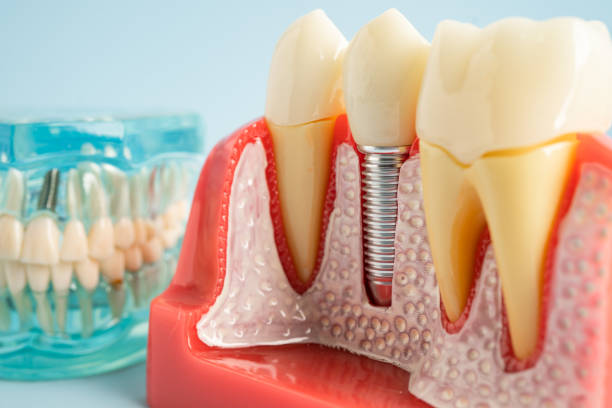 Best Preventive Dentistry  in Wilson, AR